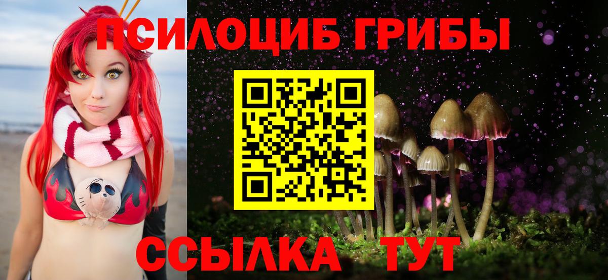 Псилоцибиновые грибы мухоморы Подольск